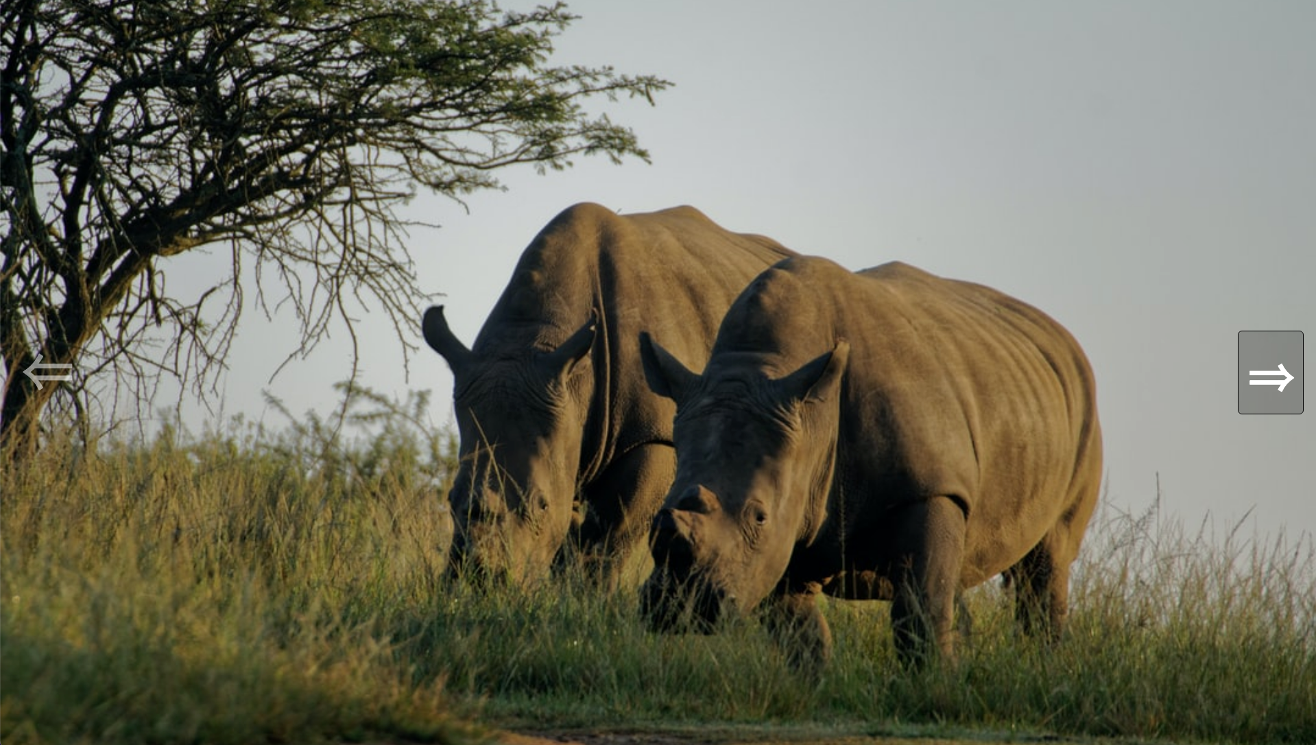 thumbnail for carousel