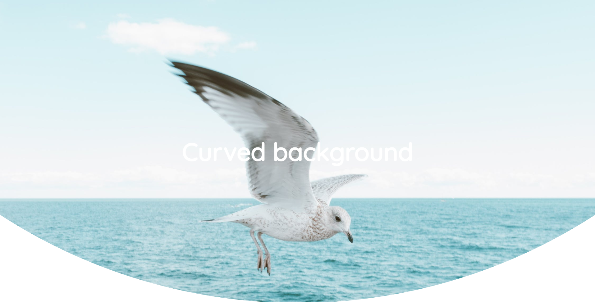 thumbnail for curved-background