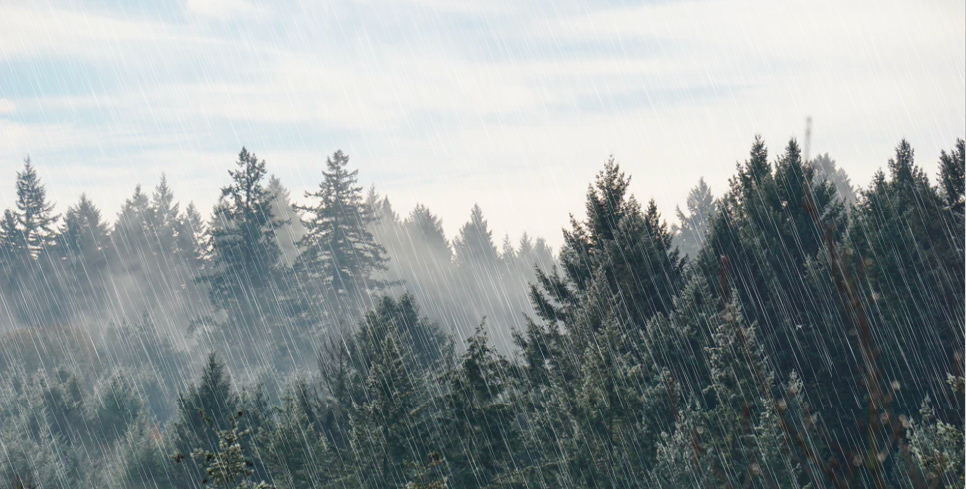 thumbnail for rain-effect